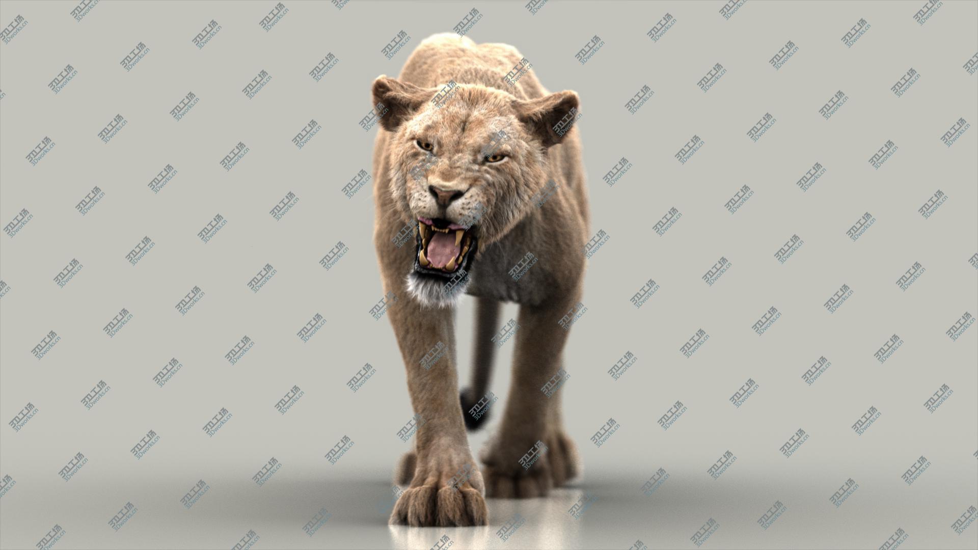 images/goods_img/202104022/Lioness (3) (FUR) (ANIMATED) 3D model/3.jpg